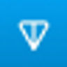TON logo